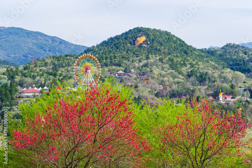 春の恵那峡の里から見る紅岩方面（芝桜花桃公園・岐阜県恵那市）