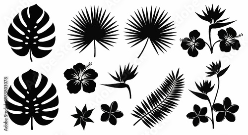 Black silhouettes of tropical plants including monstera deliciosa leaves, fan palm fronds, bird of paradise flowers, hibiscus blossoms, and plumeria isolated on white background.