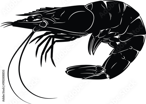Black silhouette of a shrimp on white background with marine life aquatic animal bottom feeder crustacean