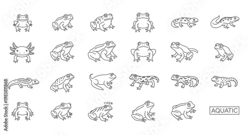Collection of Amphibian and Reptile Line Art Illustrations.