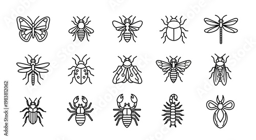 Collection of Diverse Insect and Arthropod Line Art Illustrations.
