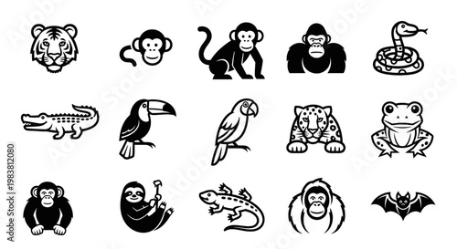 Collection of Diverse Jungle Animals and Creatures in Black and White.