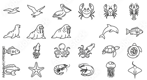 Collection of hand-drawn marine animals and birds in a simple, illustrative style.