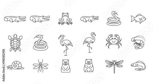 Collection of various animal species in outline style.