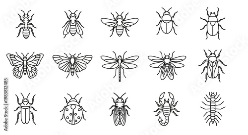 Collection of various insect line art illustrations.