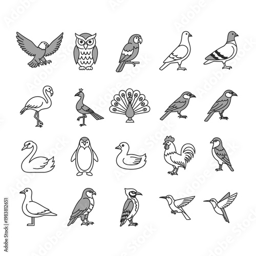 Diverse collection of hand-drawn bird illustrations in black and white.