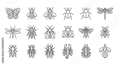 Diverse Collection of Insect Line Art Icons on White Background.