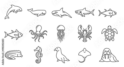 Diverse collection of marine animals in a minimalist line art style.