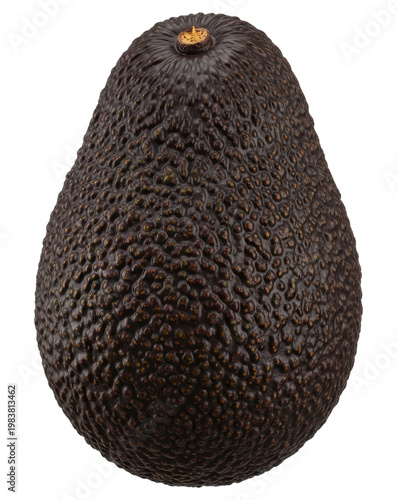 Fresh whole ripe hass avocado fruit isolated on a transparent background