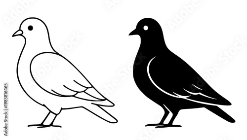 Minimalist pigeon icon, in outline and silhouette design, isolated on transparent background