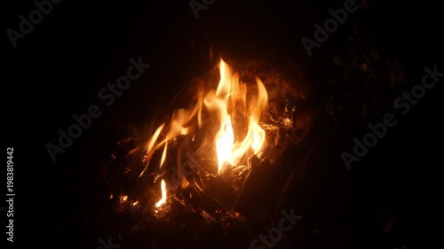 A bonfire burning brightly in the dark of night on a contrasting black background