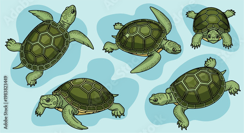 Two cute turtles and a tortoise on green grass with a green background, isolated wildlife reptiles with shells, peaceful slow-moving nature scene