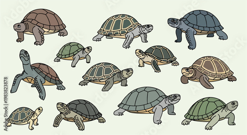 A simple collection of sea turtles and turtle silhouettes with cute reptile animals isolated on a white background representing wildlife and nature