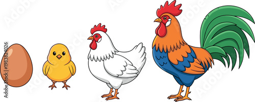 Chicken Life Cycle Illustration Set Featuring Egg, Chick, Hen, and Rooster, Perfect for Farm, Animal, and Educational Themes in Digital Designs