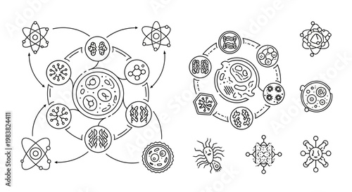 Viral particles and cell structures.