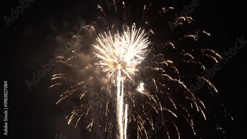 Spectacular Golden Fireworks Display Illuminating the Night Sky.
