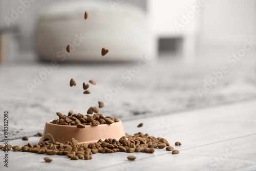 Bowl with dry scattered pet...