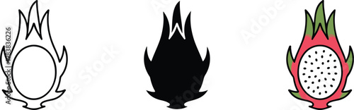 Minimalist vector illustration of dragon fruit pitaya in three styles outline silhouette and color variations side by side
