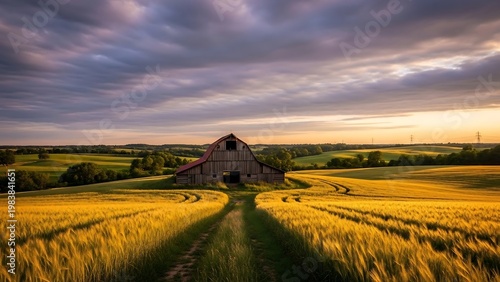 Rustic barn amidst golden wheat fields under a dramatic sky.