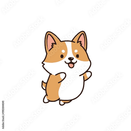 Corgi dog standing on hind legs.