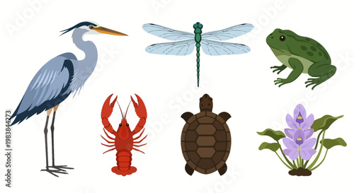 Collection of Insects and Wildlife Creatures with Floral Elements