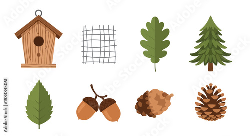 Natural Forest Elements Collection with Birdhouse Pinecones and Leaves