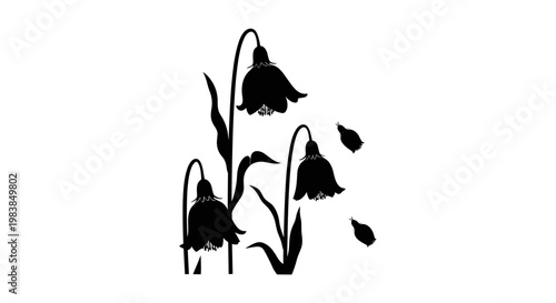Black silhouette of drooping bell-shaped flowers with falling petals on white background