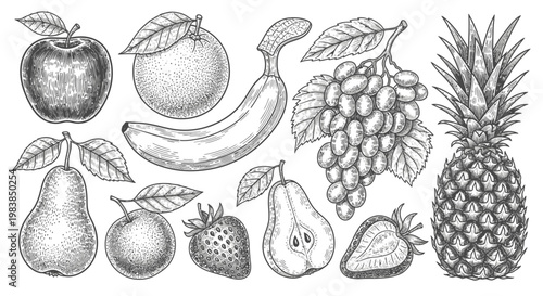 Variety of Fresh Fruit Types.