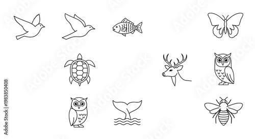 Variety of Animal Line Drawings.