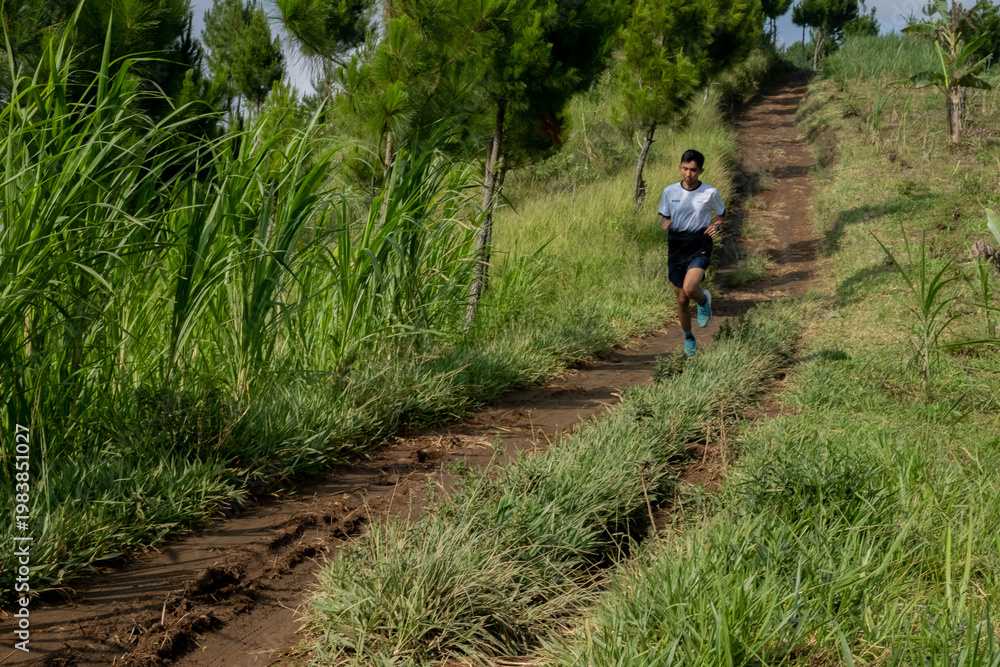 Obraz premium Young man jogs through misty forest trail. Green foliage surrounds him with lush trees. He moves steadily, focused on his pace. Mist shrouds distant hills behind him. Ideal for health, fitness