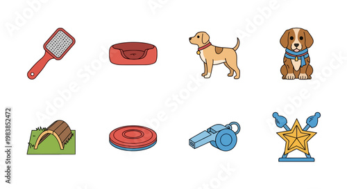 Collection of Pet Accessories and Toys for Dogs and Cats