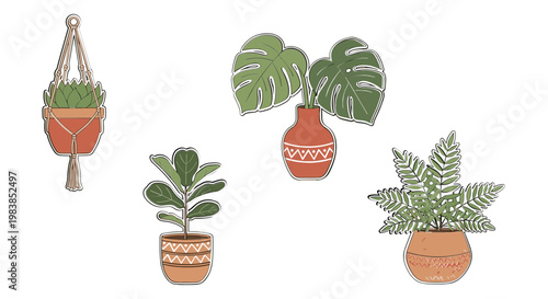 Bohemian Potted Plants Collection: Macrame Hanger, Monstera, Fiddle Leaf Fig, Fern