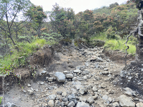 Natural scenery at the peak of Mount Ciremai, Indonesia. Mount Ciremai is the highest mountain in West Java province, Indonesia.