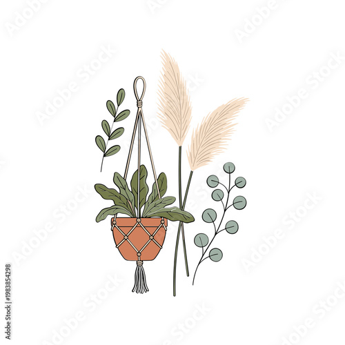 Boho hanging plant macrame, pampas grass, and botanical elements illustration