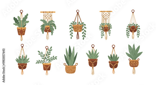 Boho macrame plant hangers with various houseplants, white background, flat design