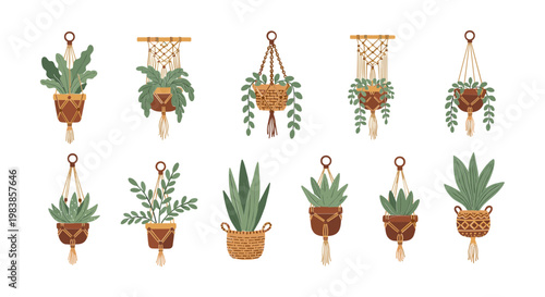 Boho Macrame Plant Hangers with Various Potted Greenery