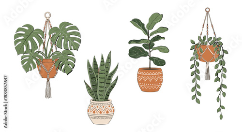 Boho Macrame Plant Hangers with Tropical Houseplants