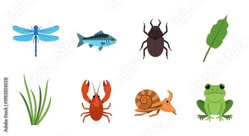 Collection of insects and small creatures including dragonfly, fish, beetle, leaf, grass, crab, snail, frog
