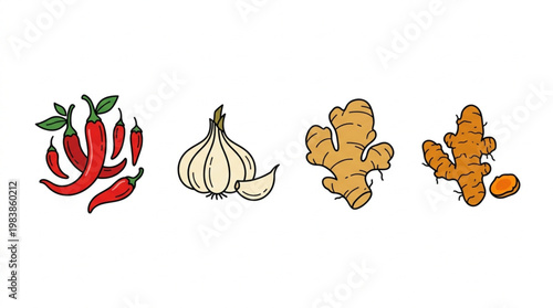 Fresh Spice Ingredients Set Red Chili Garlic Ginger and Turmeric Root Vector Illustration
