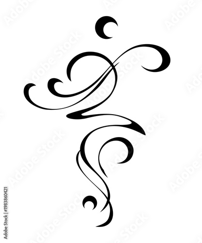 decorative element with an ornate abstract pattern featuring curls and vignettes; graphic design