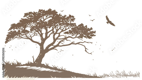 Silhouette of a Large Spreading Tree with Bare Branches Vector