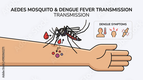 Mosquito Cartoon Aedes Dengue Fever Disease Concept Vector Illustration
