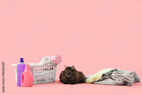 Cute cat with laundry baske...