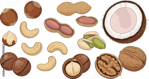 Assorted Nuts and Seeds Including Cashews, Walnuts, Pistachios, and Coconut, for Healthy Snacks, Food Packaging, and Culinary Designs