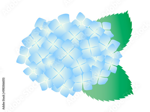 あじさい　淡いブルーのカワイイあじさい　イラスト