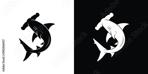 Black and white dolphin and shark animal marine life