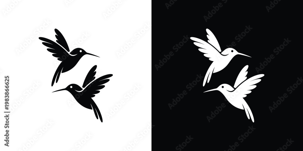 Fototapeta premium Black and white hummingbirds on contrasting backgrounds