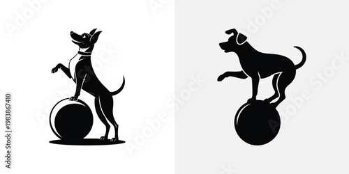 Black dog silhouettes balancing on exercise balls balance