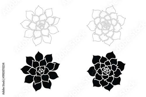 Set of succulent plant silhouettes and line art illustrations for design