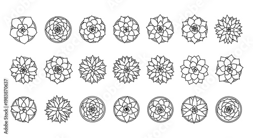 collection of top-down succulent plant icons isolated on white background